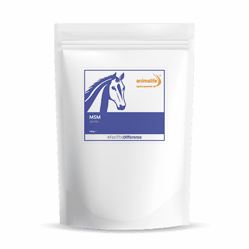 Methyl Sulphonyl Methane 2 KG Equine Joint Muscle Tendon Ligament Support MSM 