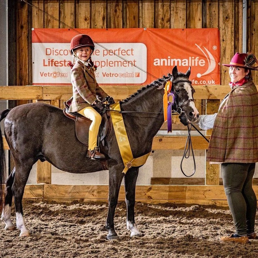 Animalife Super Senior Horses | Animalife