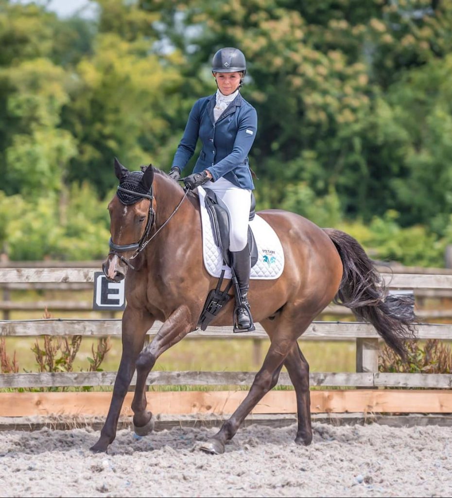 Animalife Super Senior Horses | Animalife