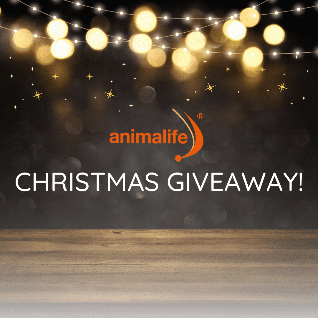 Christmas Giveaway | Animalife